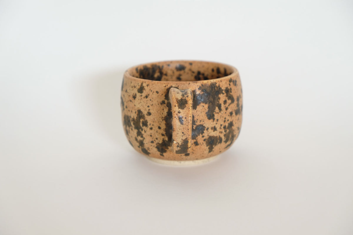 Hearth Mug in Desert Rain